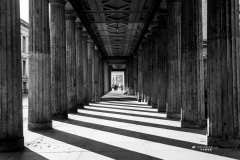 Luigi_Scaglione_Photogher_IMG_6736